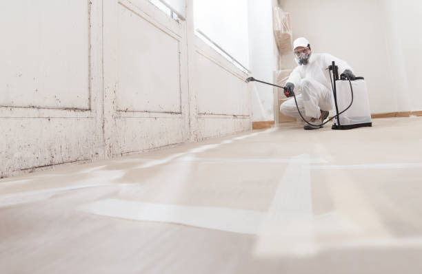 24/7 Emergency Attic Mold Removal experts in Bryn Mawr, PA